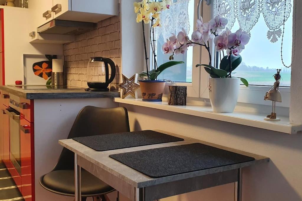 Apartmán Kleine Auszeit Lauben  Exteriér fotografie